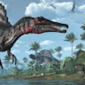 Meet your Posher, Noor